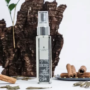 HOME SPRAY NIX 60ML - CANELA COM PATCHOULI